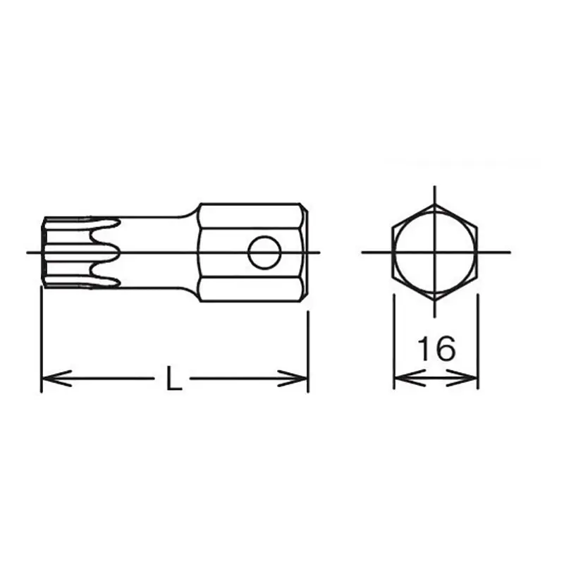 16mm Hex Dr. Bit TORXplus® 60IP Length 50mm - Image 2